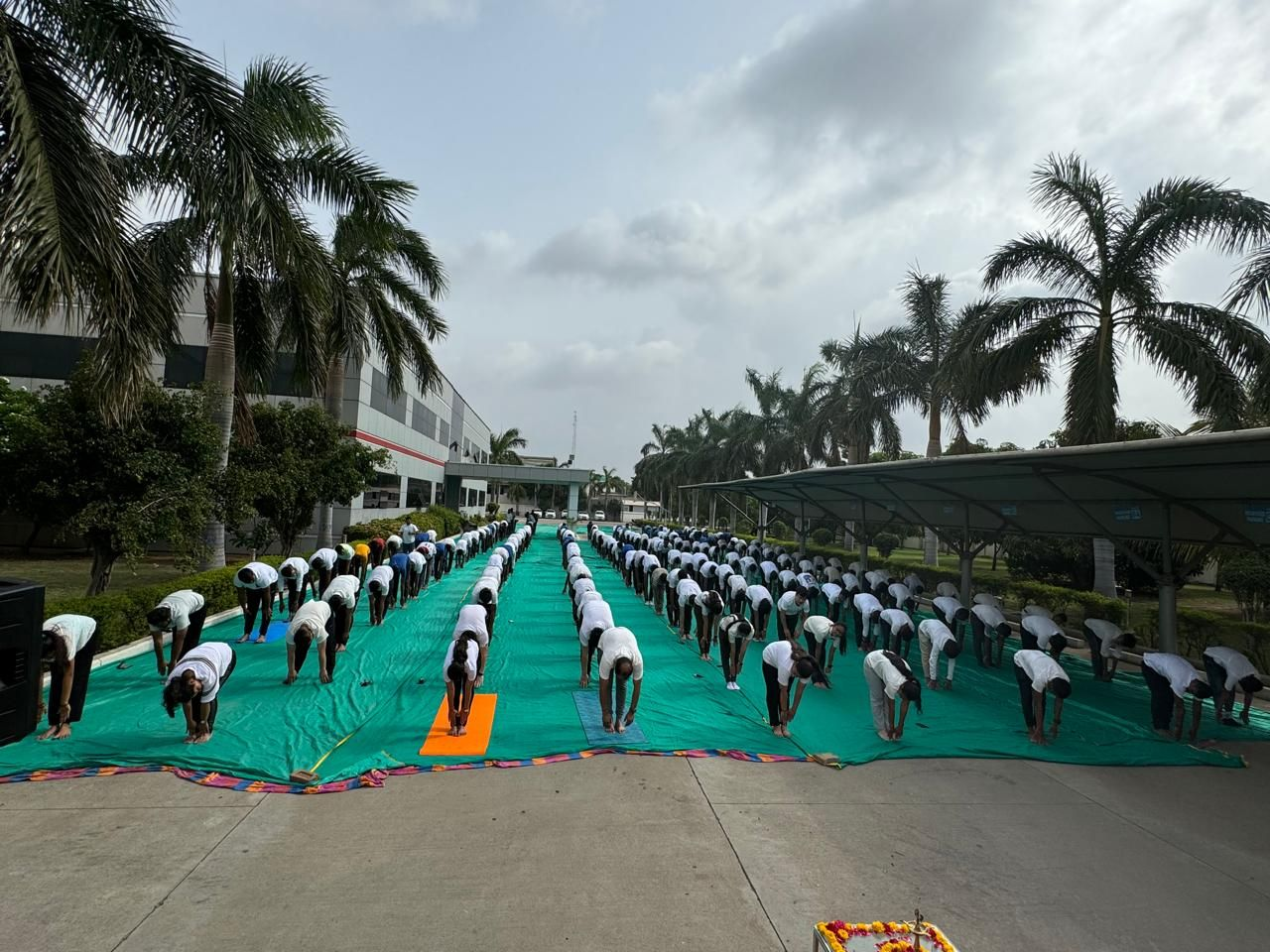 International Yoga Day